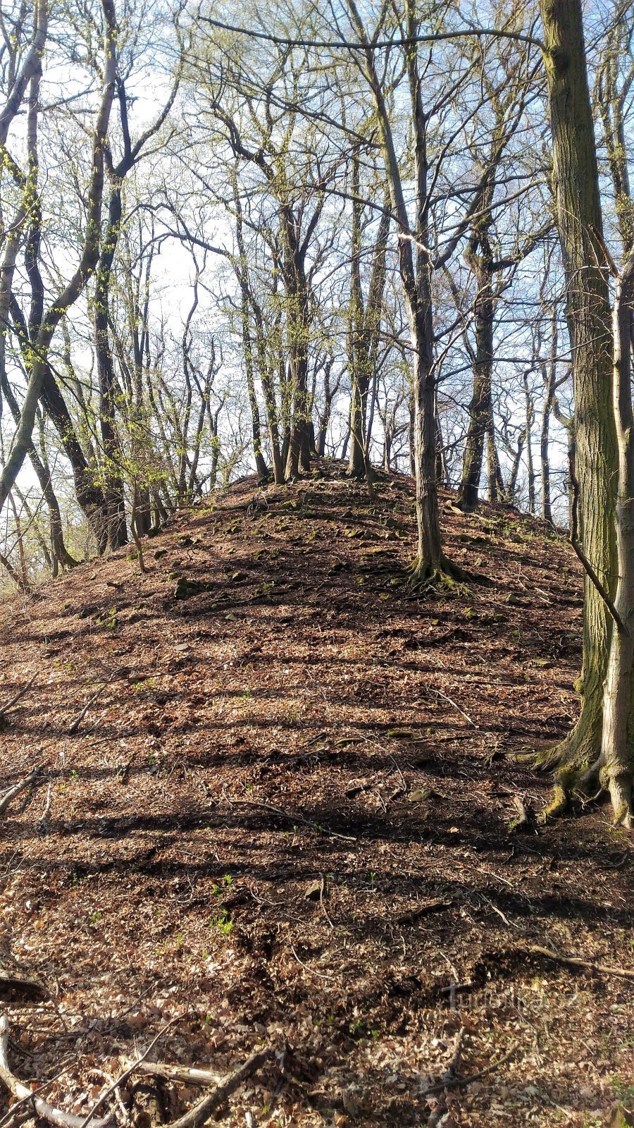 山羊山