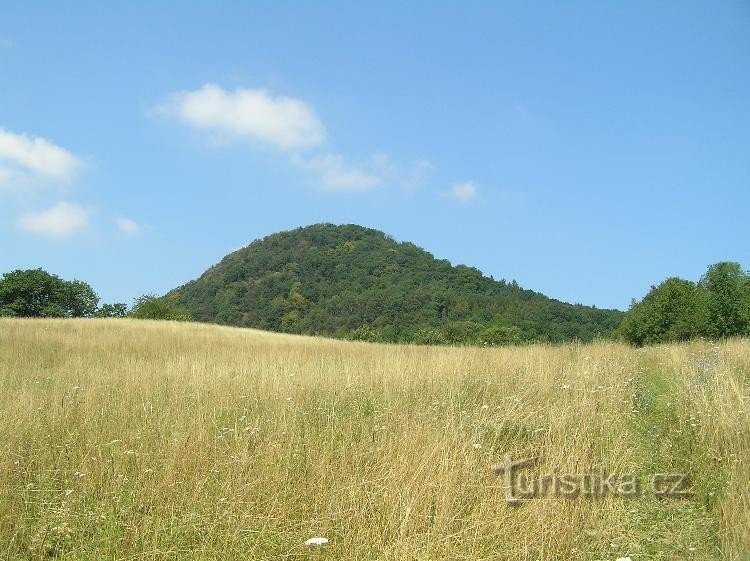 Kozí vrch: từ Neštědice