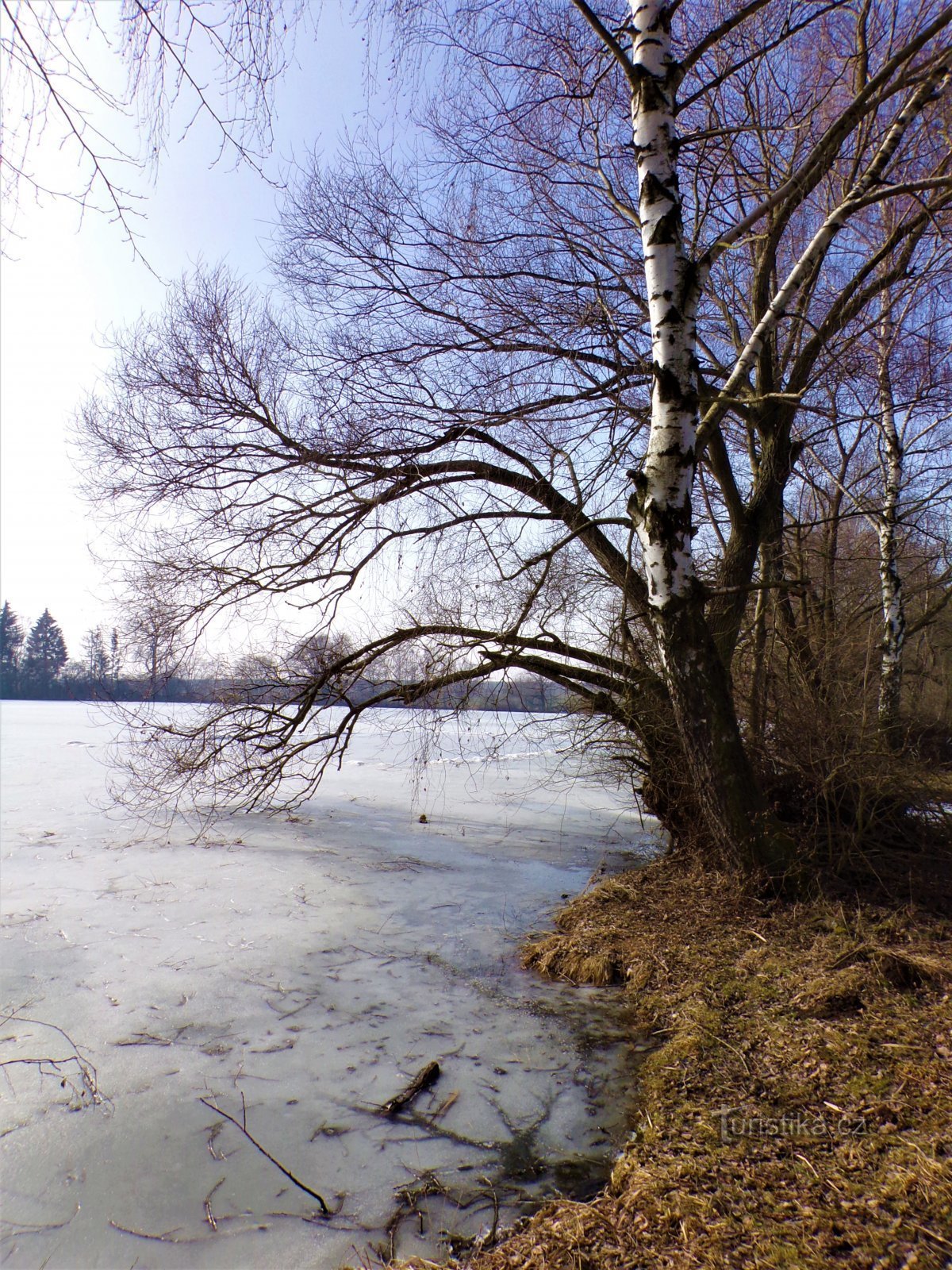 Laghetto di Kozin (Sadová, 25.2.2021/XNUMX/XNUMX)