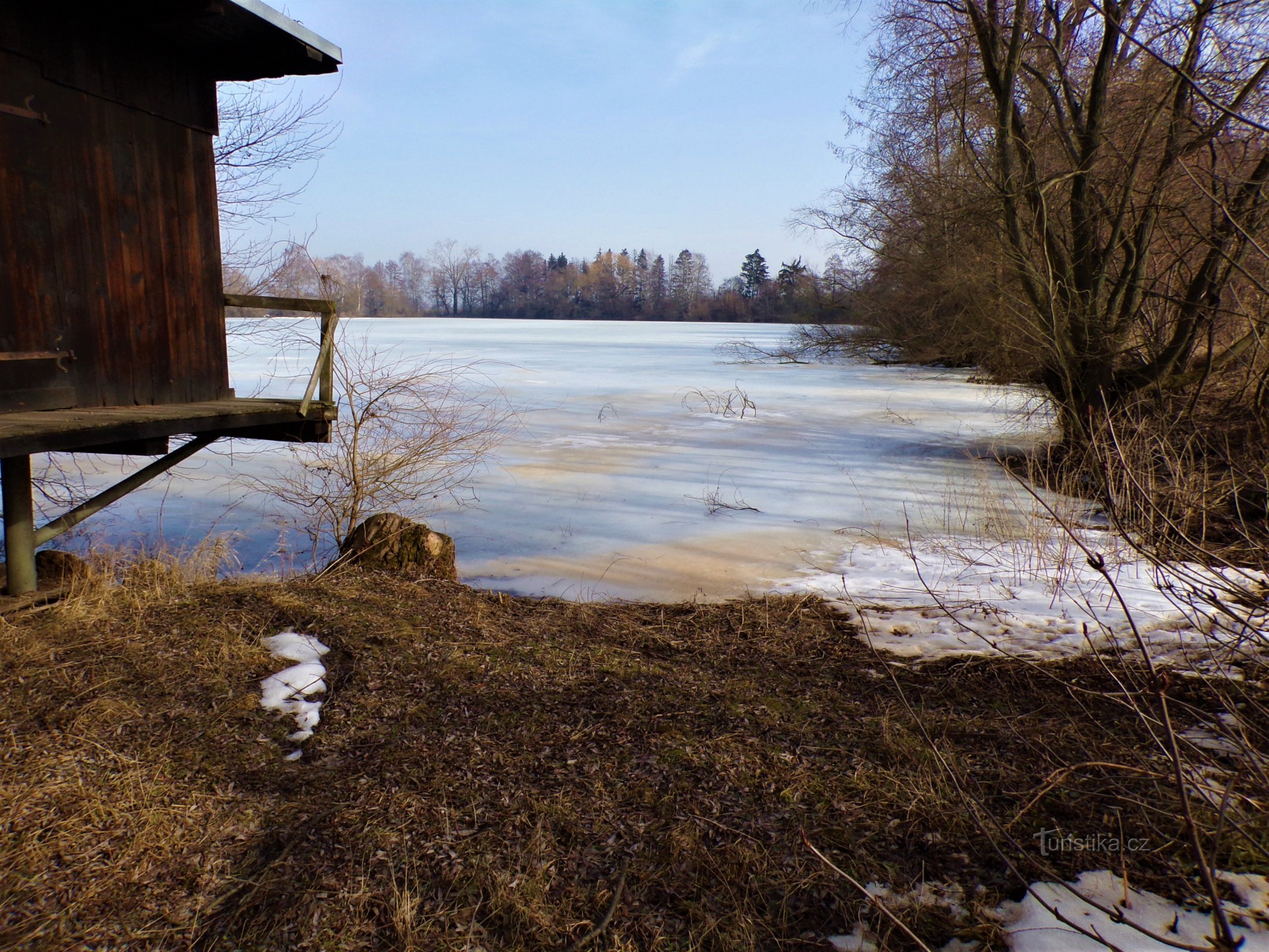 Kozin Pond (Sadová, 25.2.2021/XNUMX/XNUMX)