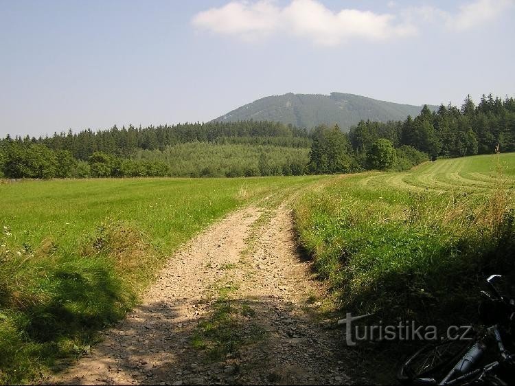 Kozlovice, Magdalena: Kozlovice, Magdalena - direction du pavillon de chasse