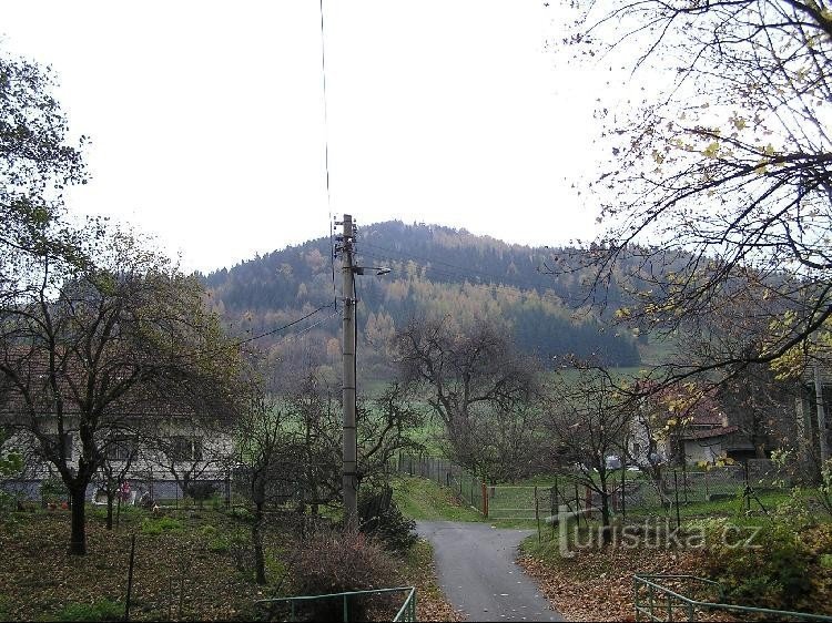 Kozlovická hora: Kozlovická hora