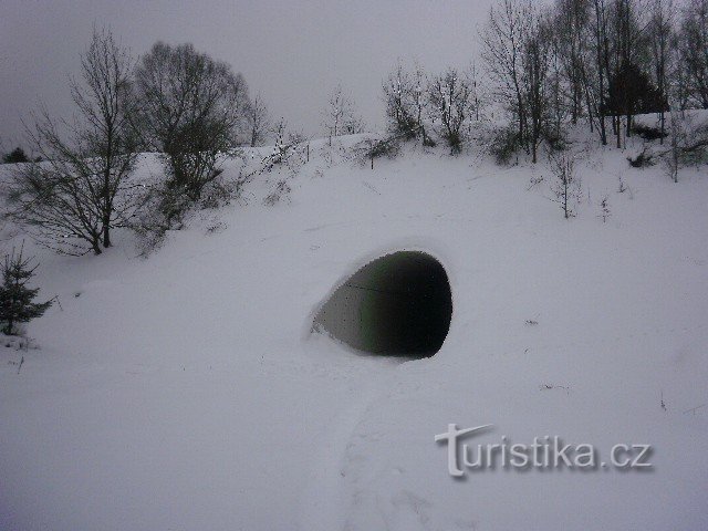 À travers la région des montagnes Lužické Svor - Milštejn - U Jána - Nová Huť- Jedlová ŽST