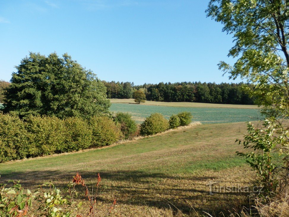 The landscape around Hlasek