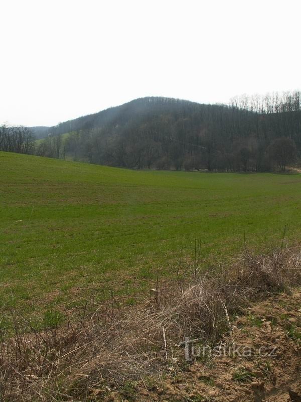 The landscape between Hlína and Ivančice