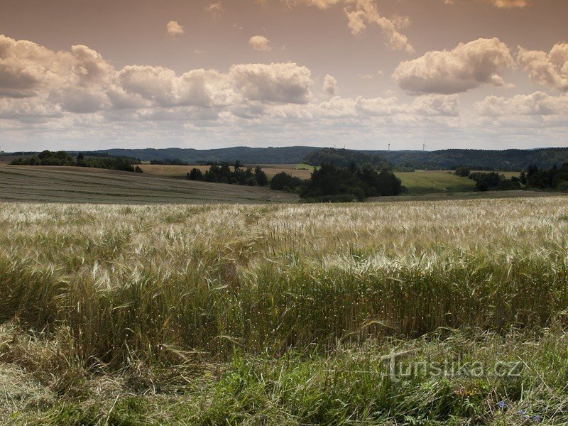 Landscape above Maletín