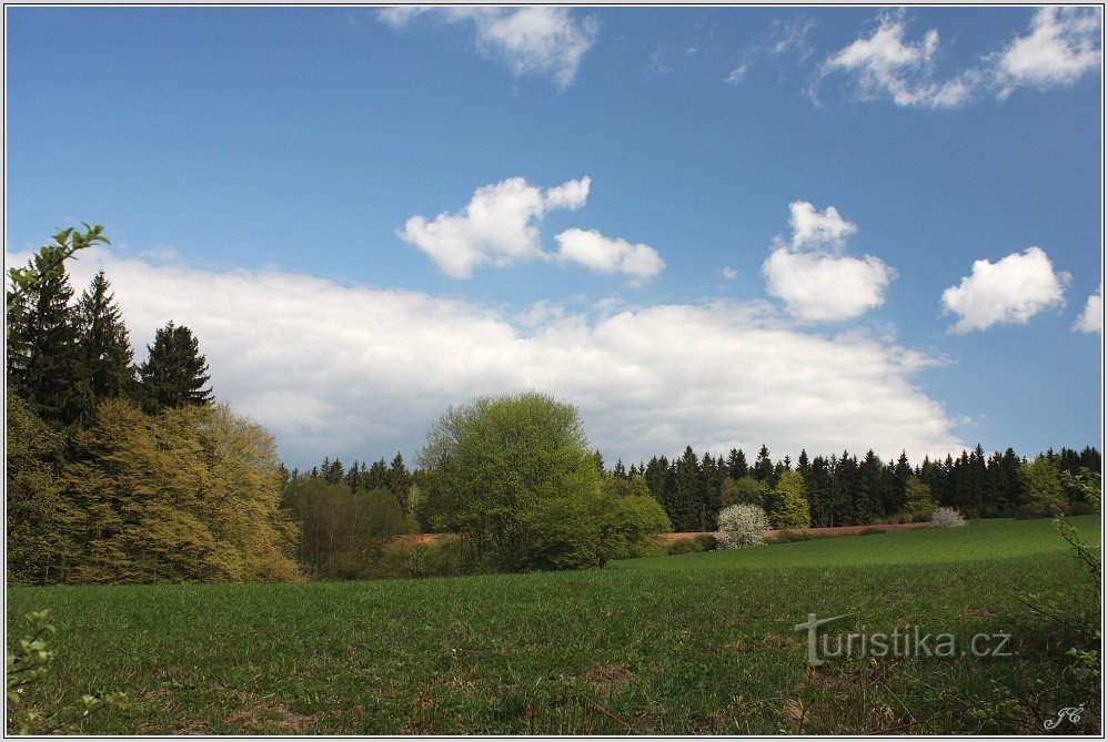 Die Landschaft unterhalb von Kumburk