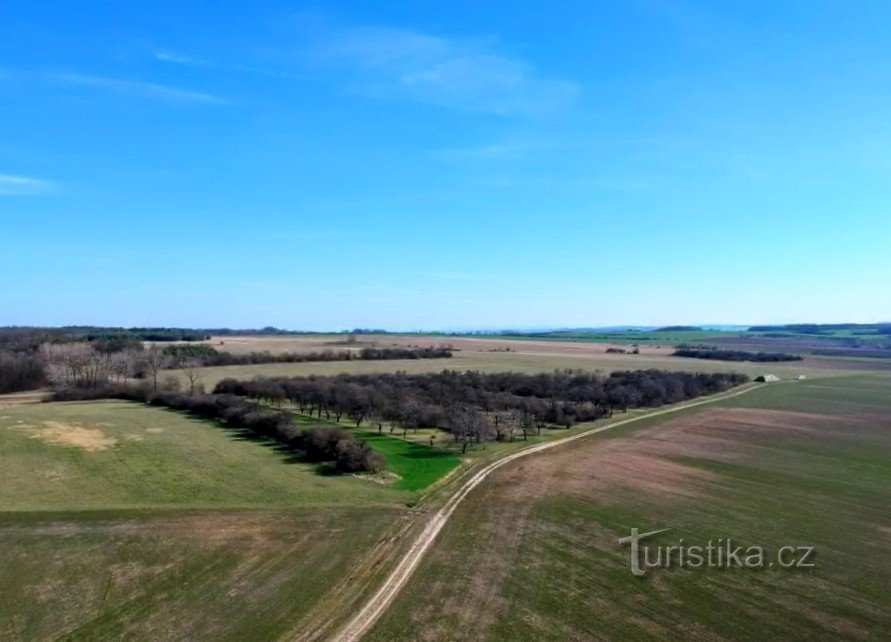 Het landschap onder Říp