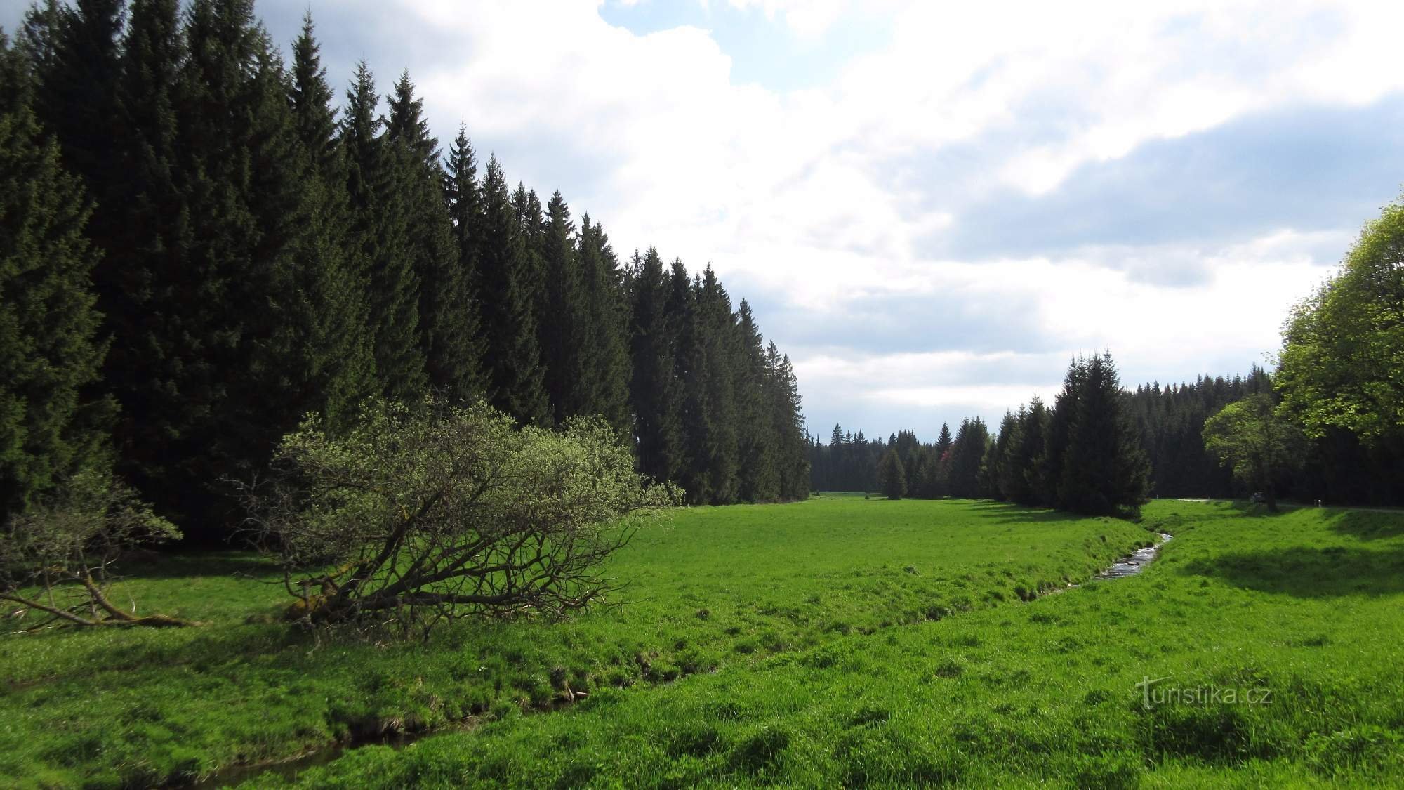 the landscape of Slavkovské les