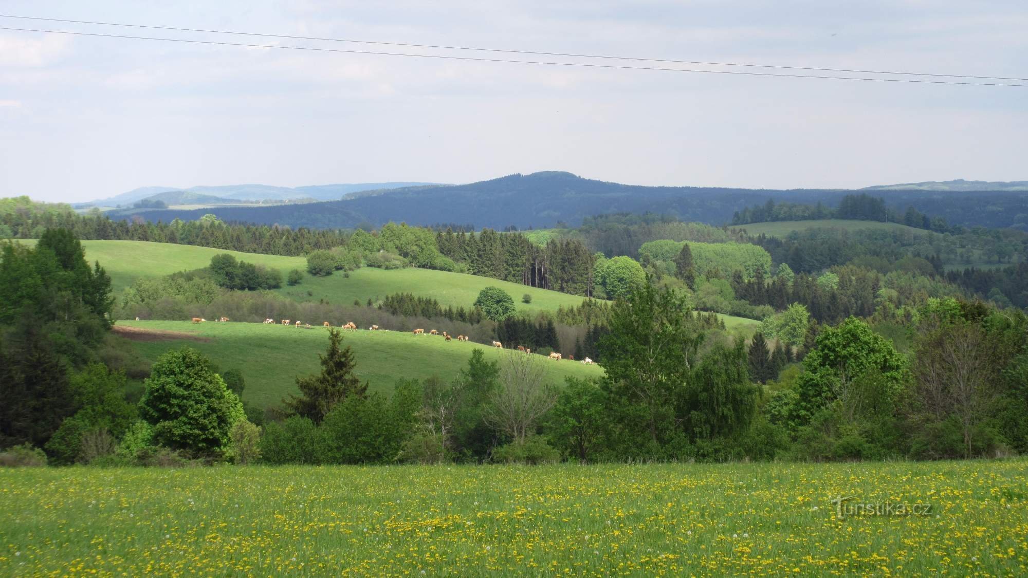 het landschap van Slavkovské les