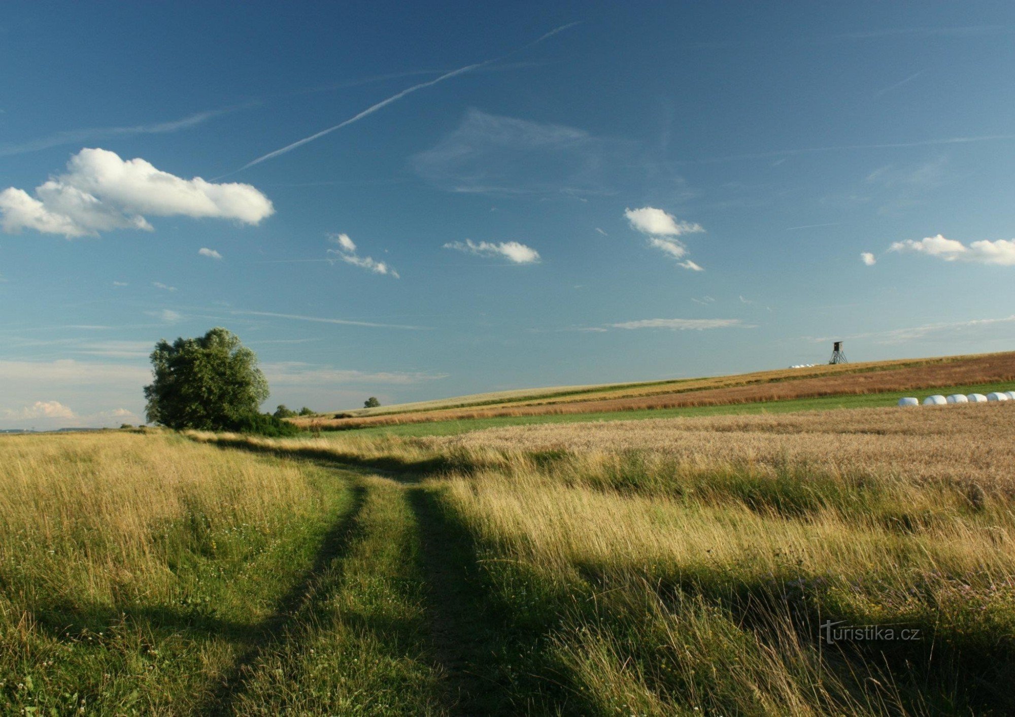 Landschaft bei Dobruška