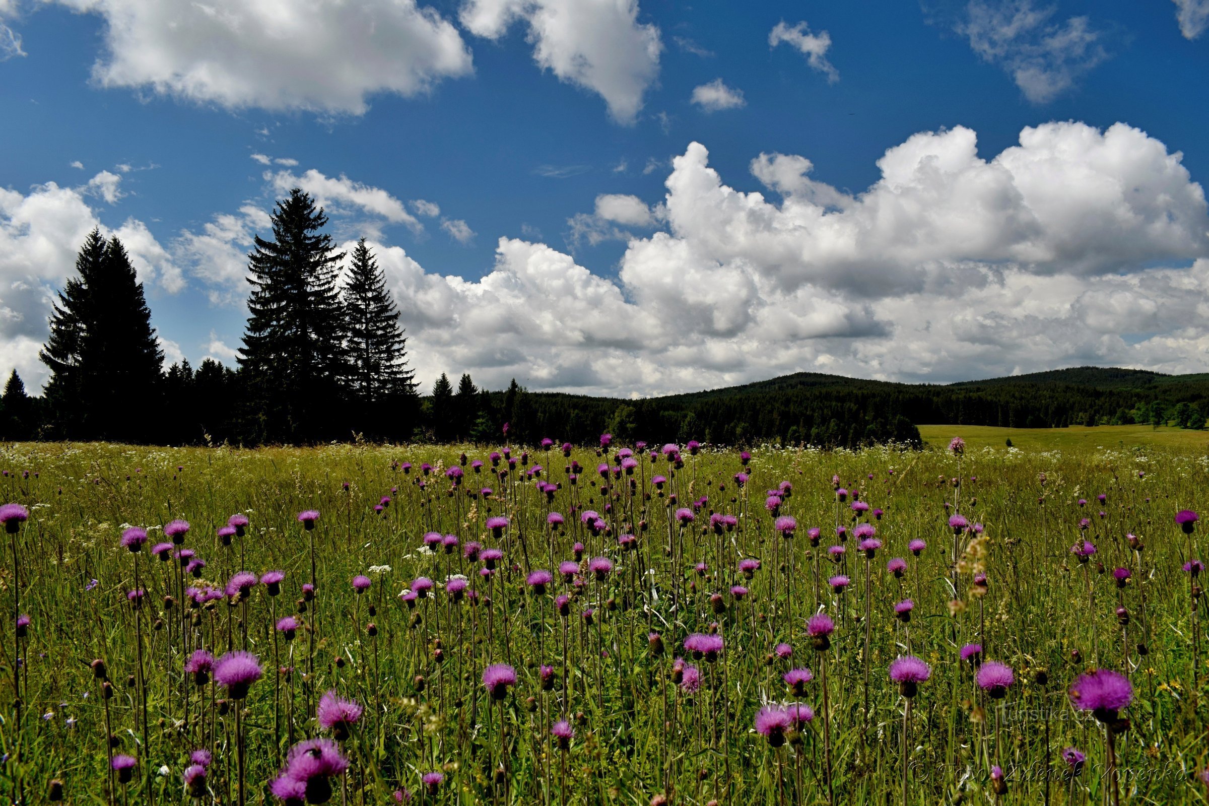 Peisaj lângă Pohoří în Šumava.