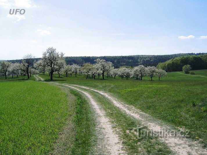 landschap bij de Opatovice-dam