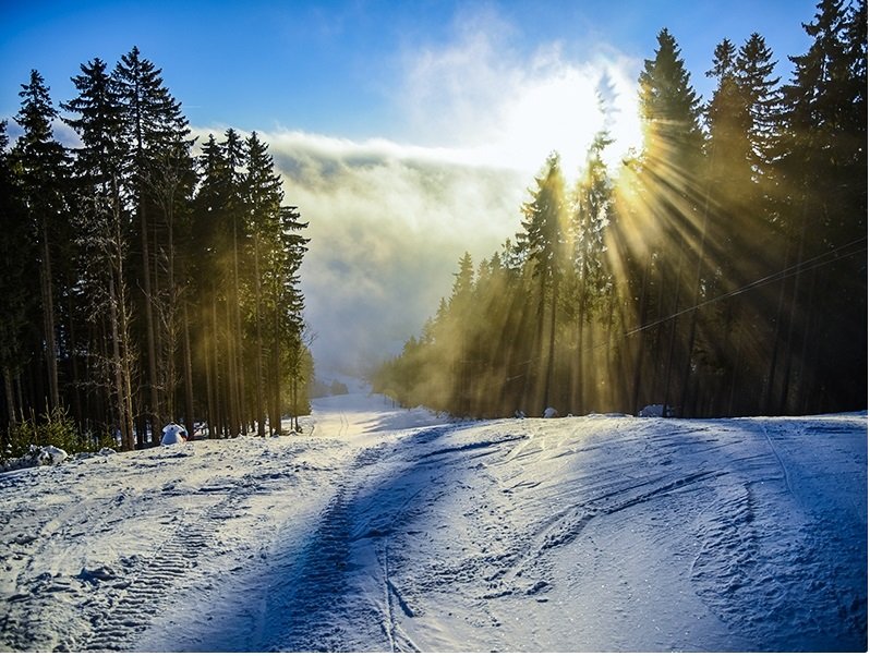 Κουνέλι SKI