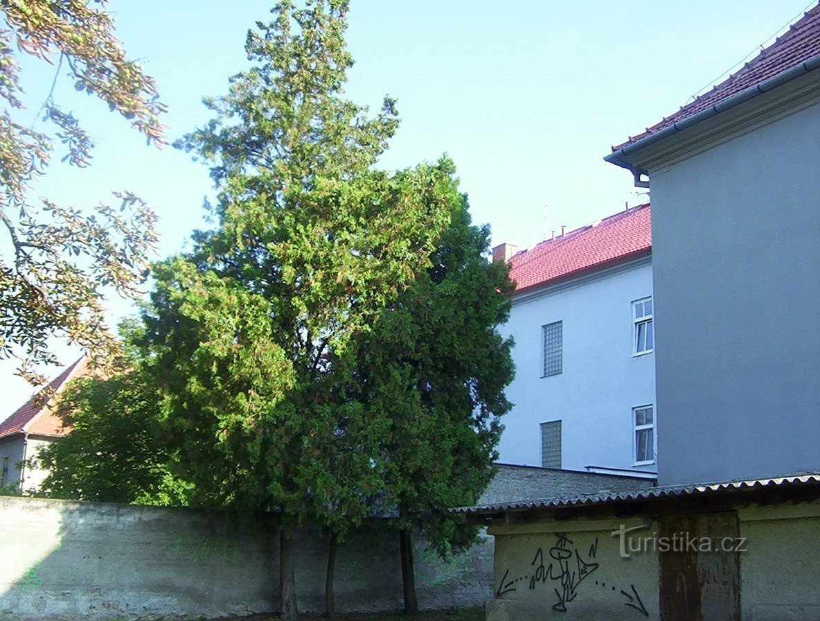 Kralice na Hané-antiguo castillo-jardín, fachada suroeste-Foto: Ulrych Mir.