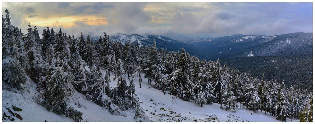 Coniglio pupazzo di neve 15.2.