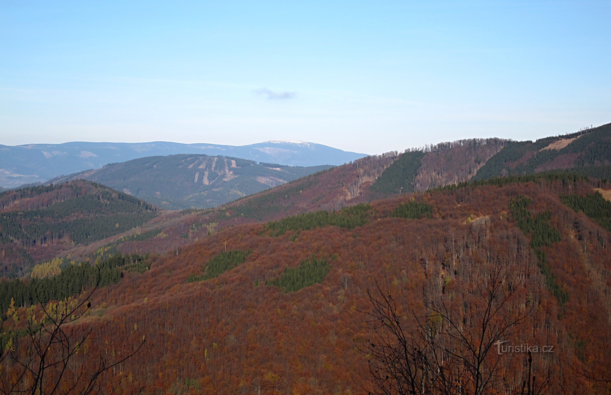 Кролик Сніговик