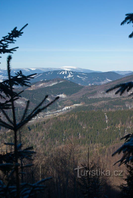 Kralicki Śnieżnik