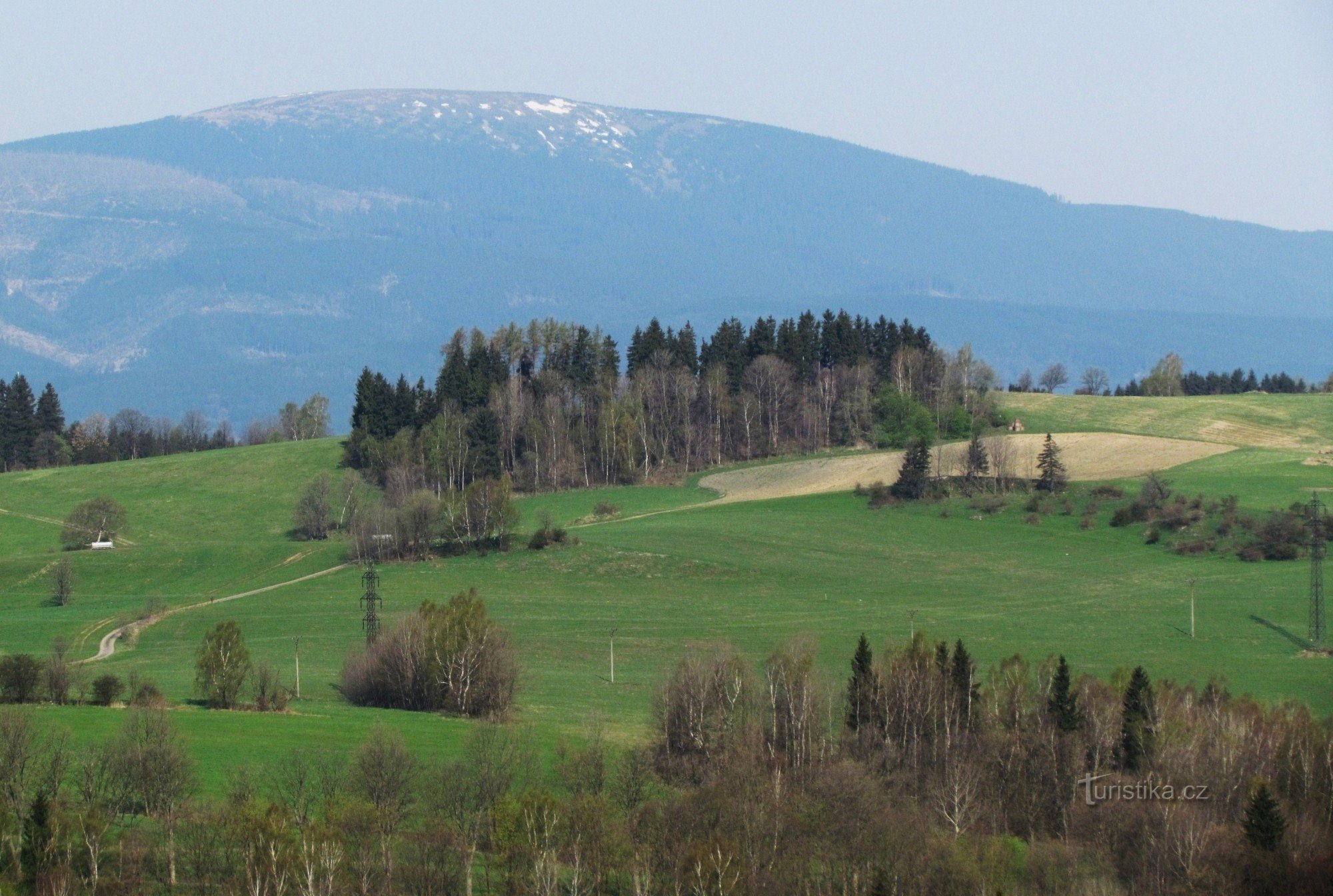 Kralicki Śnieżnik