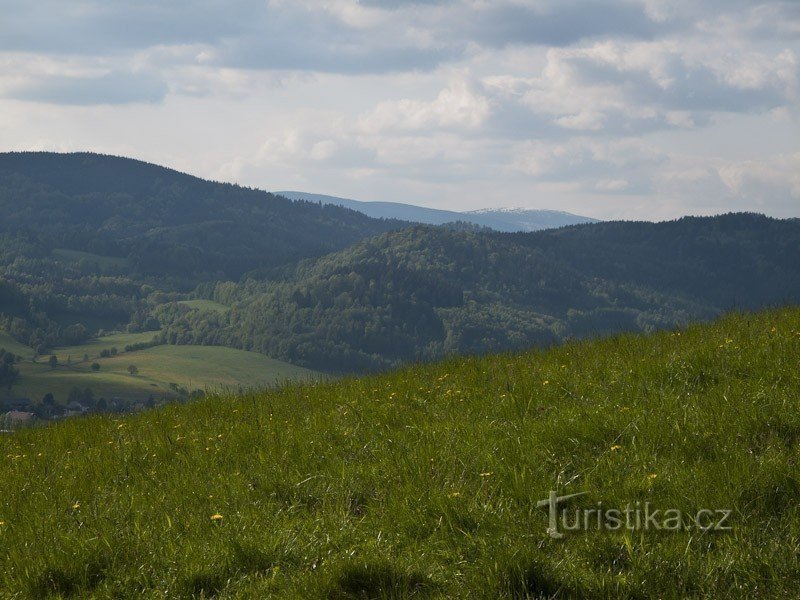 Kralický Snežnik