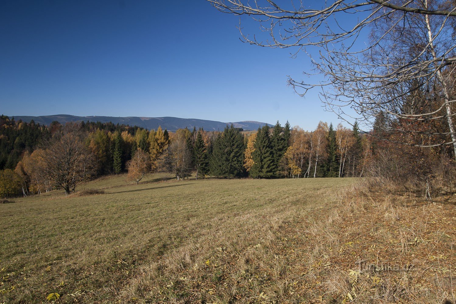 Glatzer Schneeberg