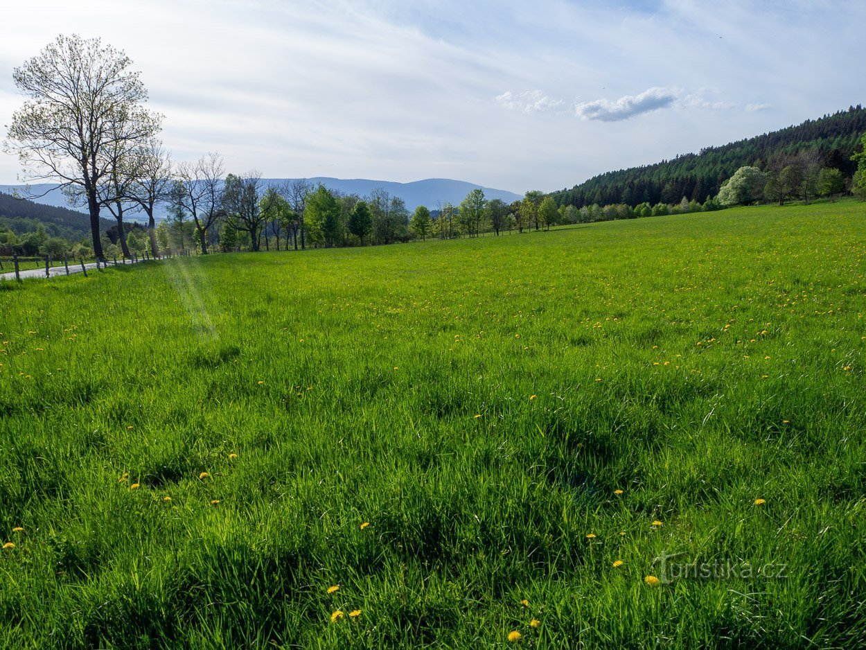 Glatzer Schneeberg