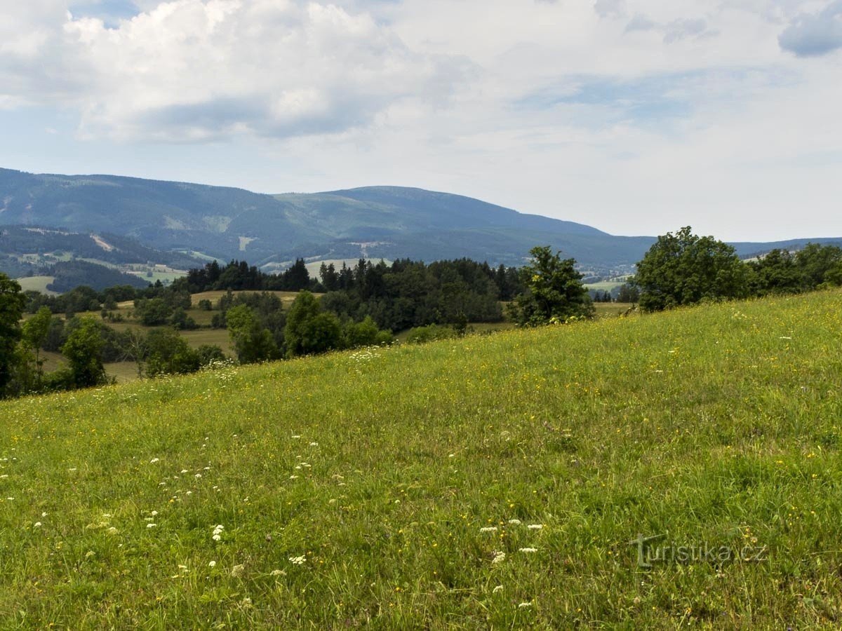 Králický Sněžník és az Óváros-medence