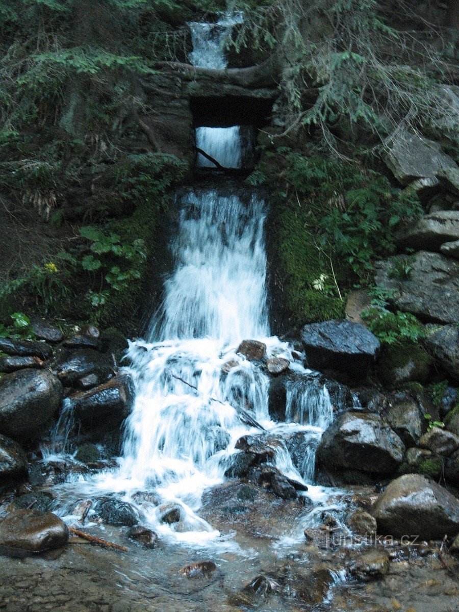 Kralický Sněžník - reserva natural