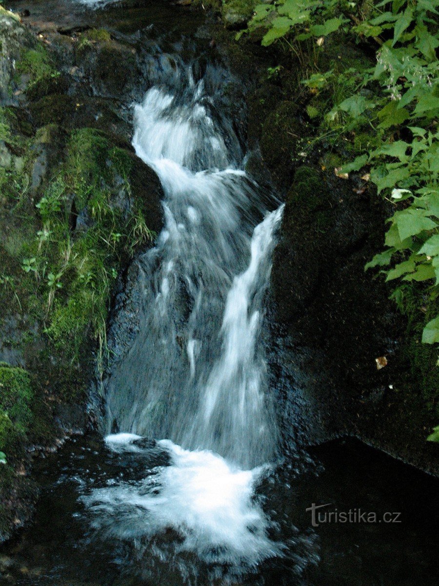 Kralický Sněžník - reserva natural