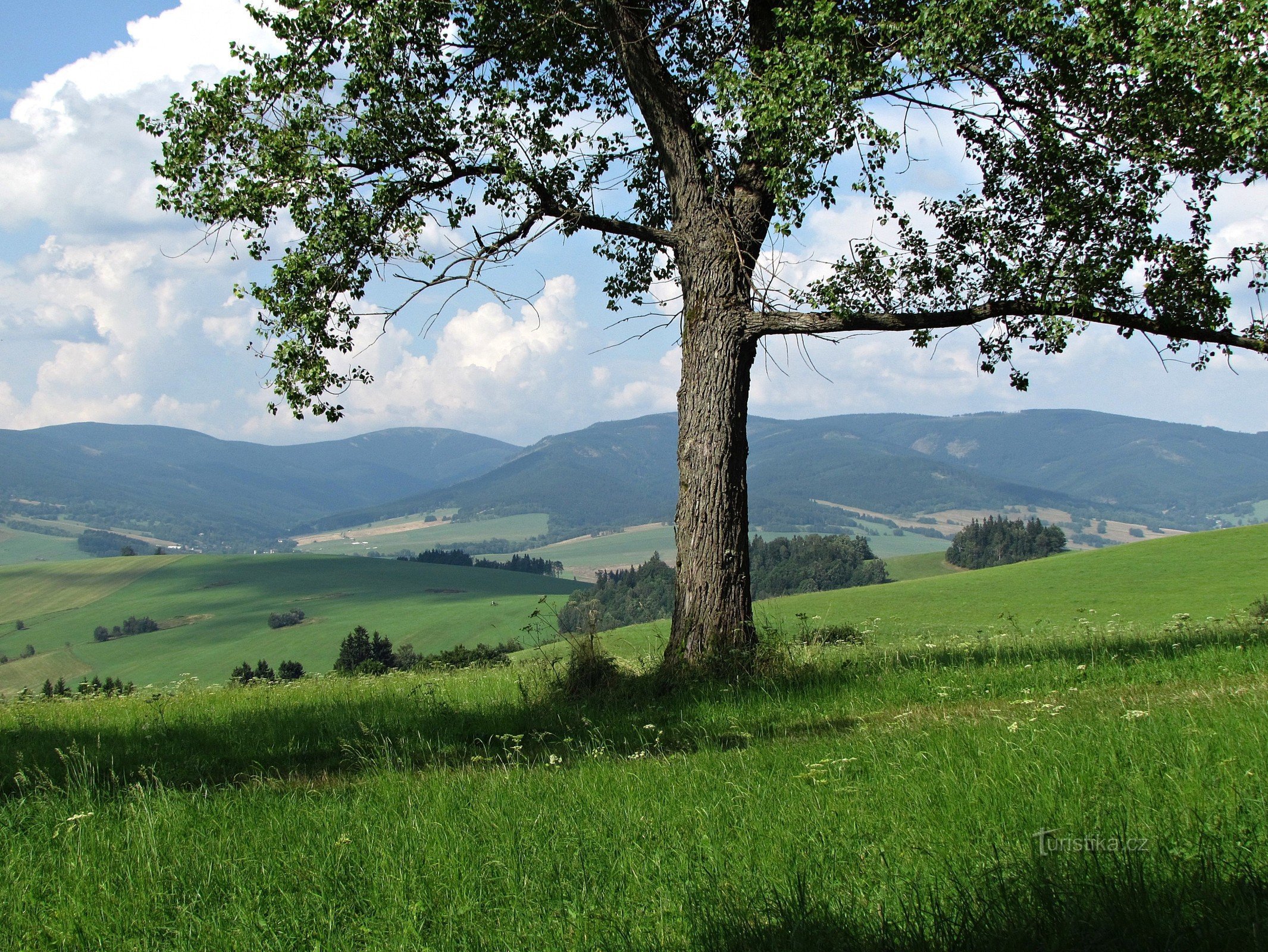 Králíky - viale panoramico