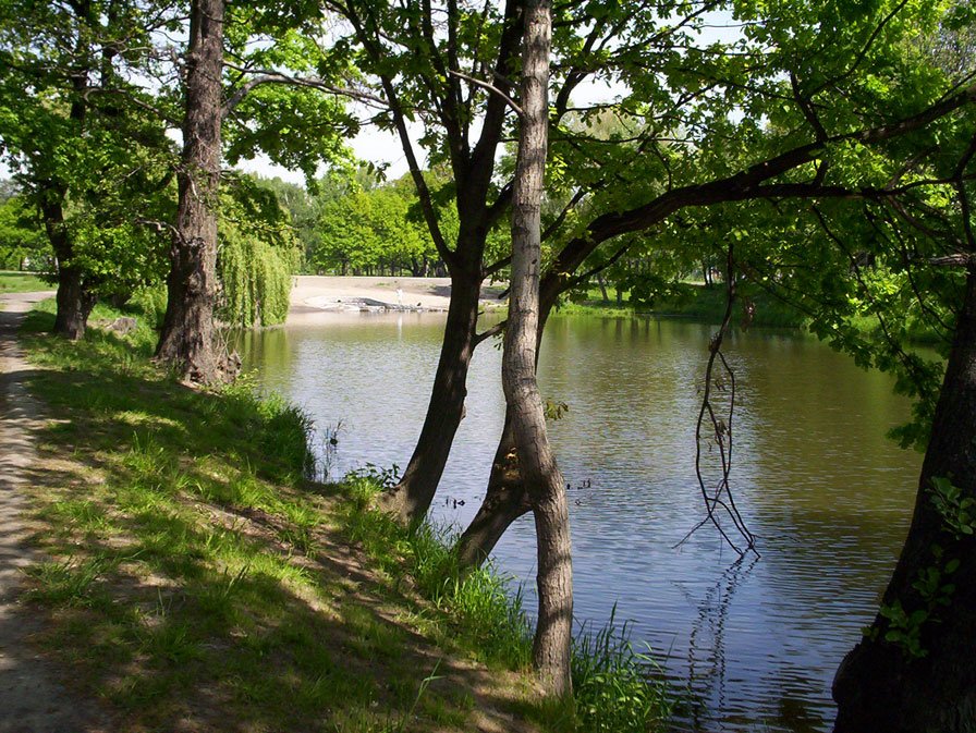 Park Królewski - Stromovka