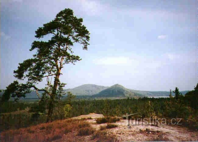 Королівський трон