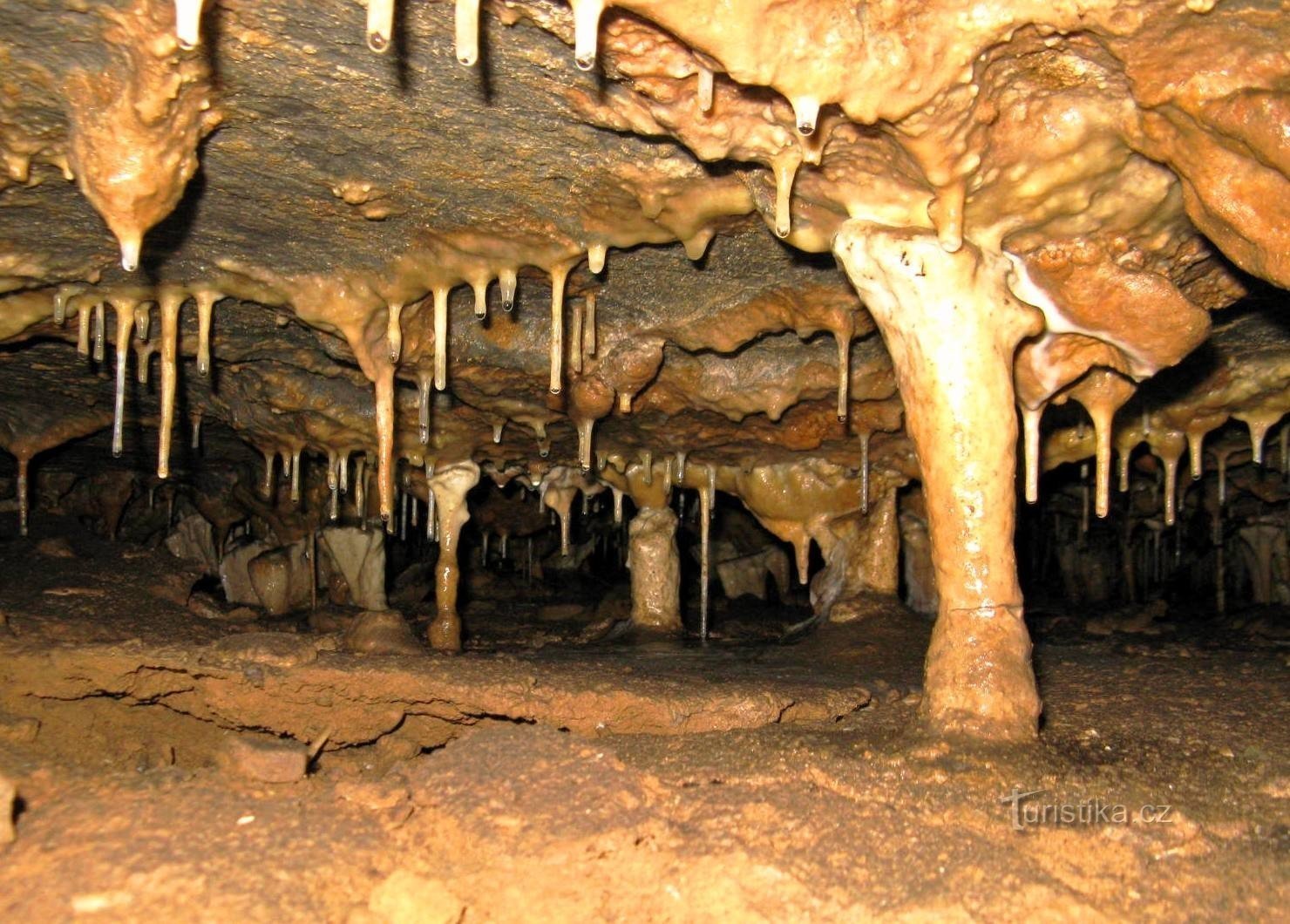 Decoração de estalactites na Caverna Holstein