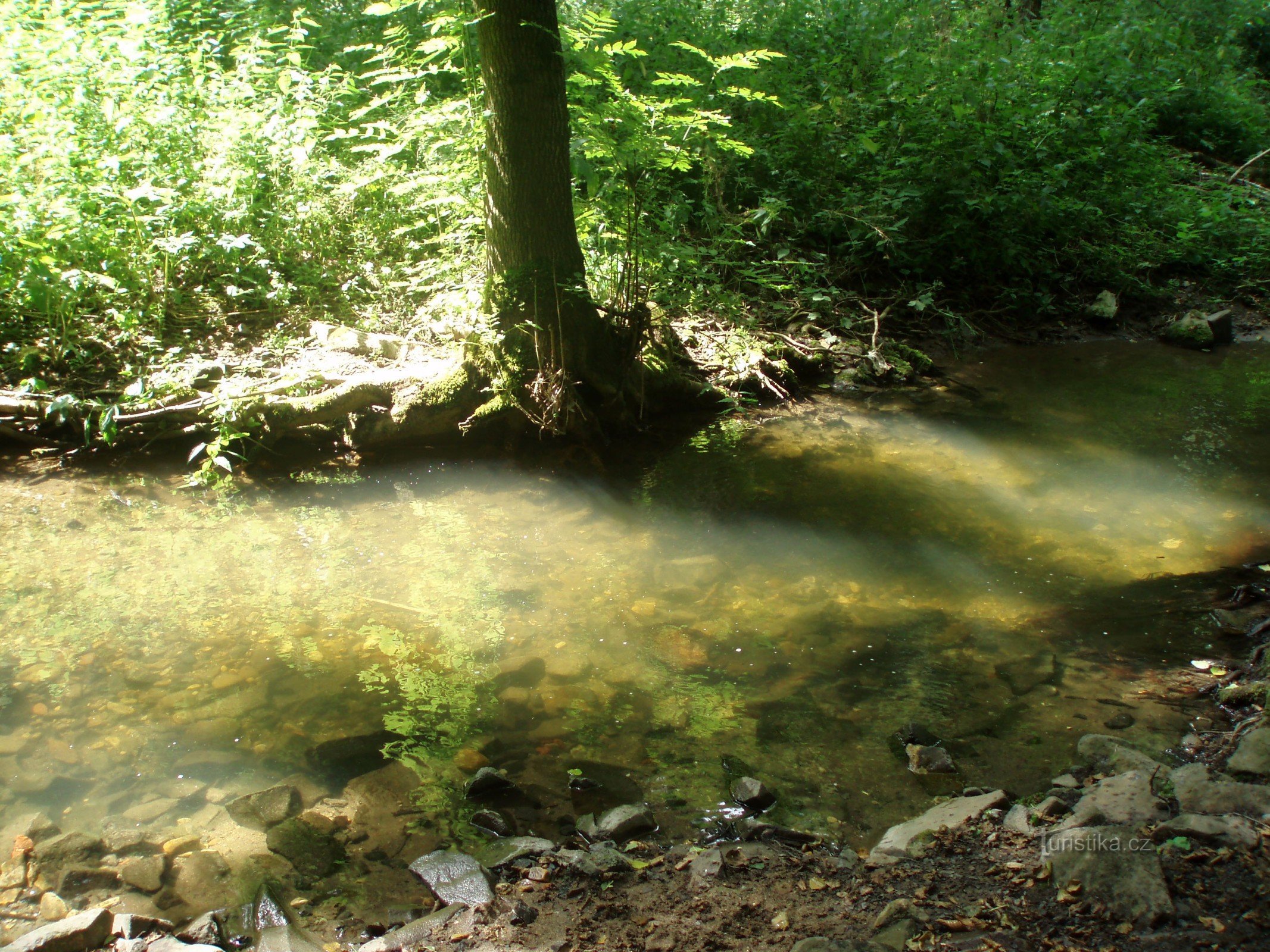 Krásně čistý Milešovský potok