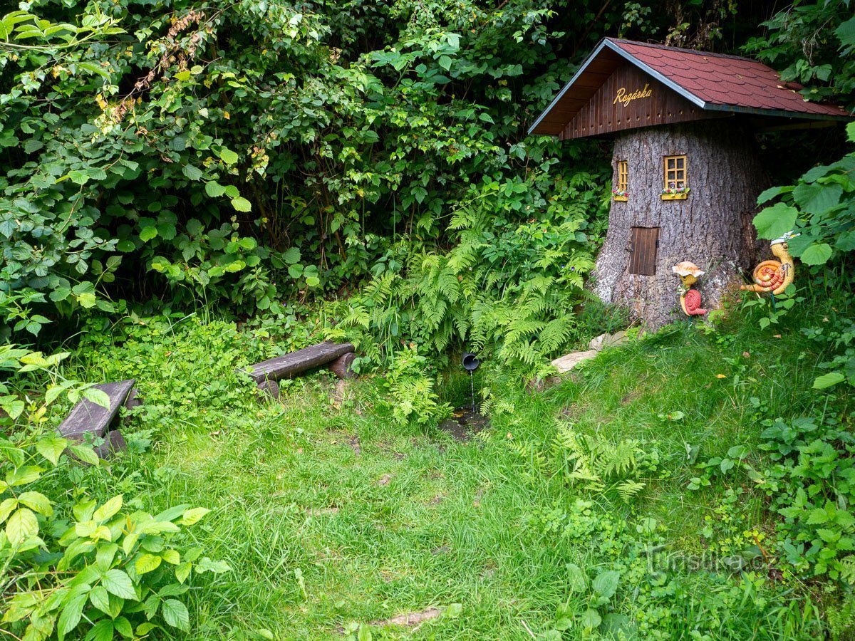 Lijepa - Rozárka dobro