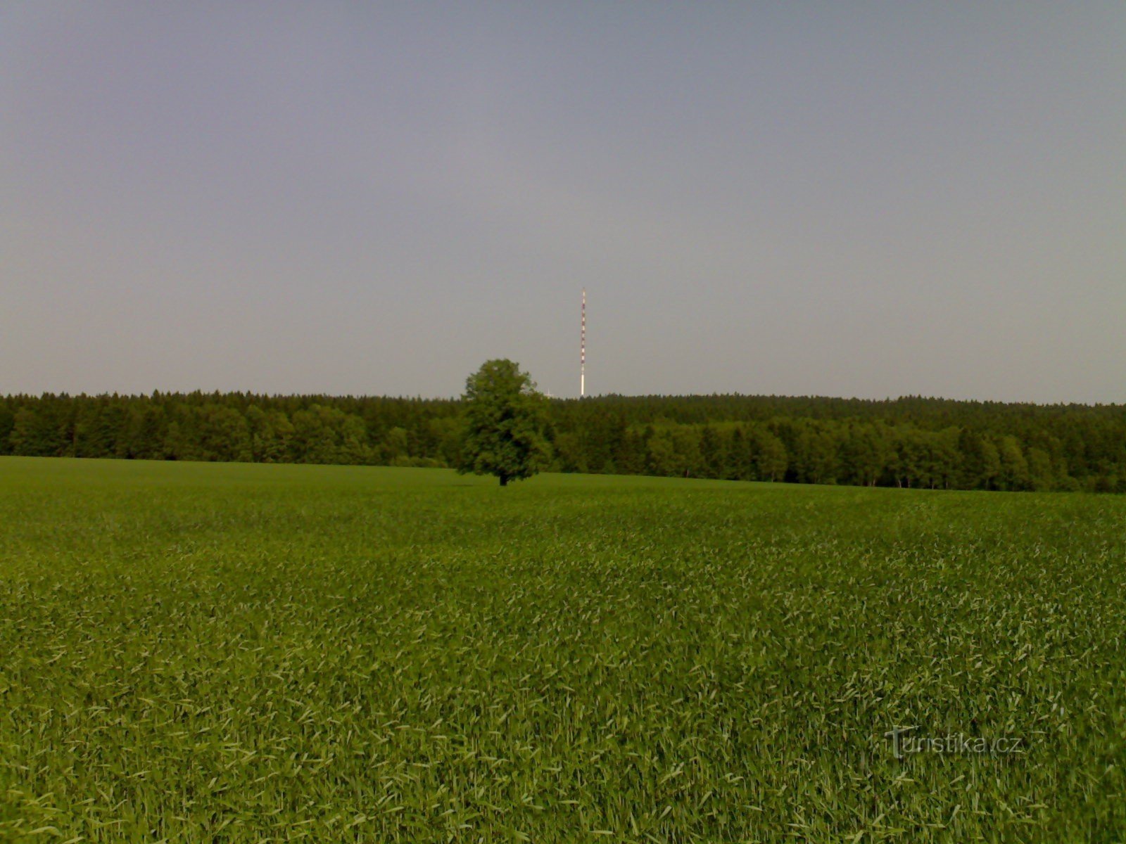 Piękny - nadajnik telefonu