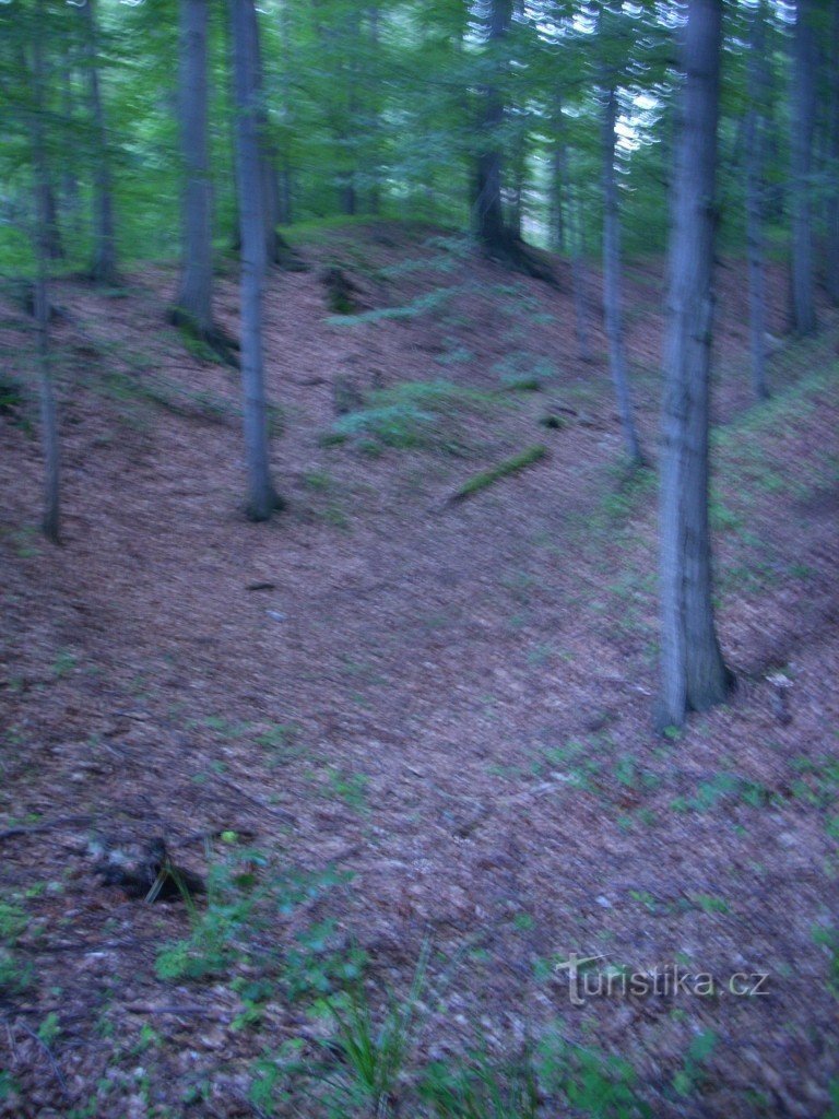 Beautiful Buk-ruins of the castle