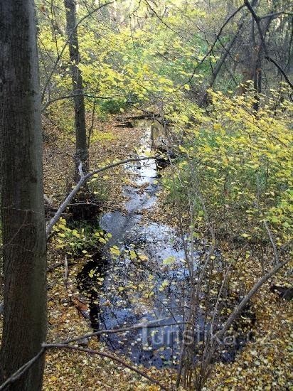 Krasovka en el bosque de otoño