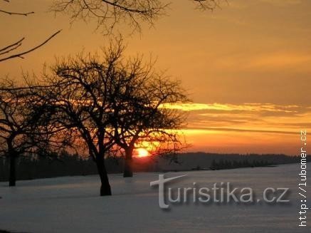 красота деревни Любомерж