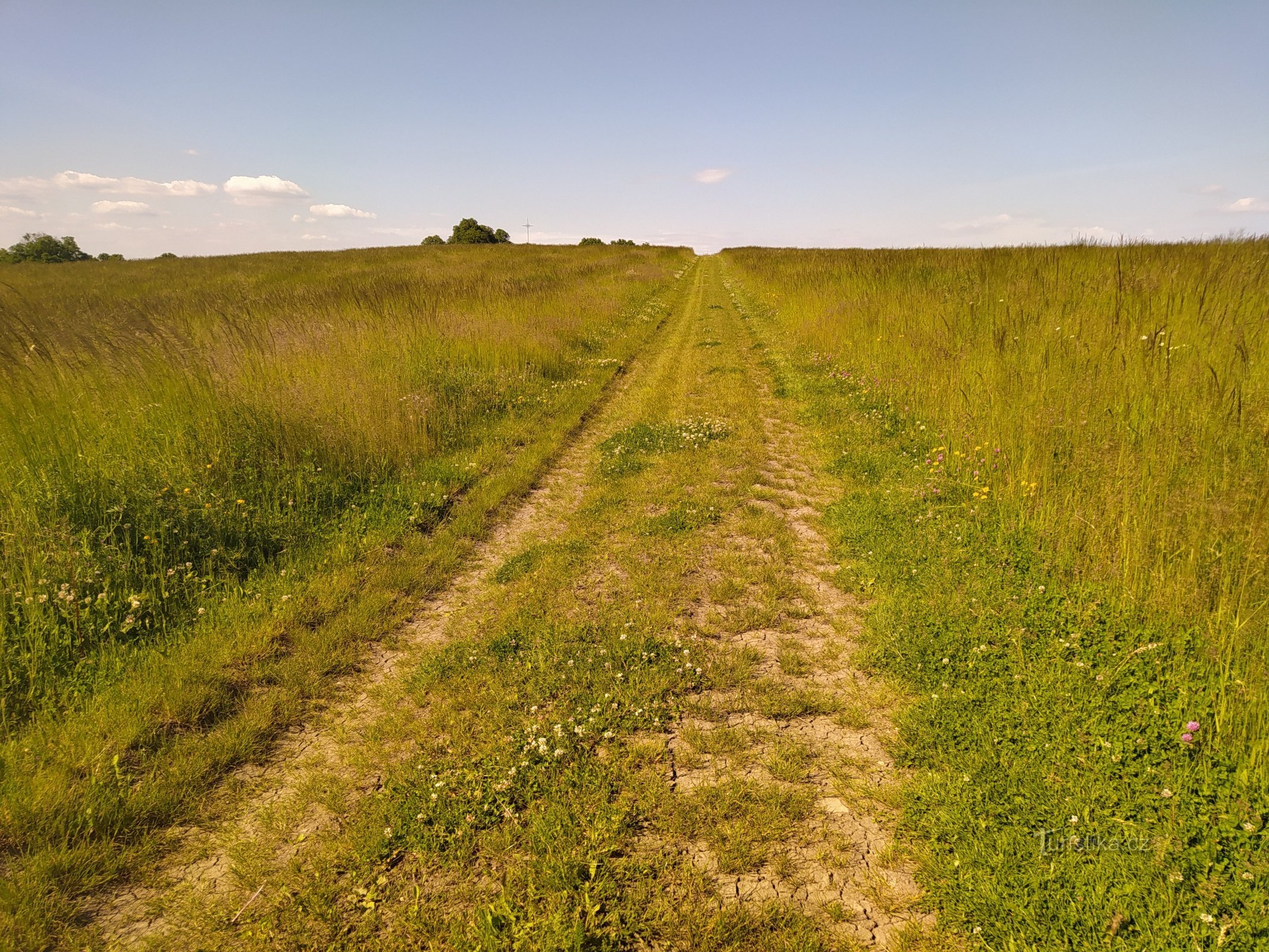 De schoonheden van Žerotín in de zomer