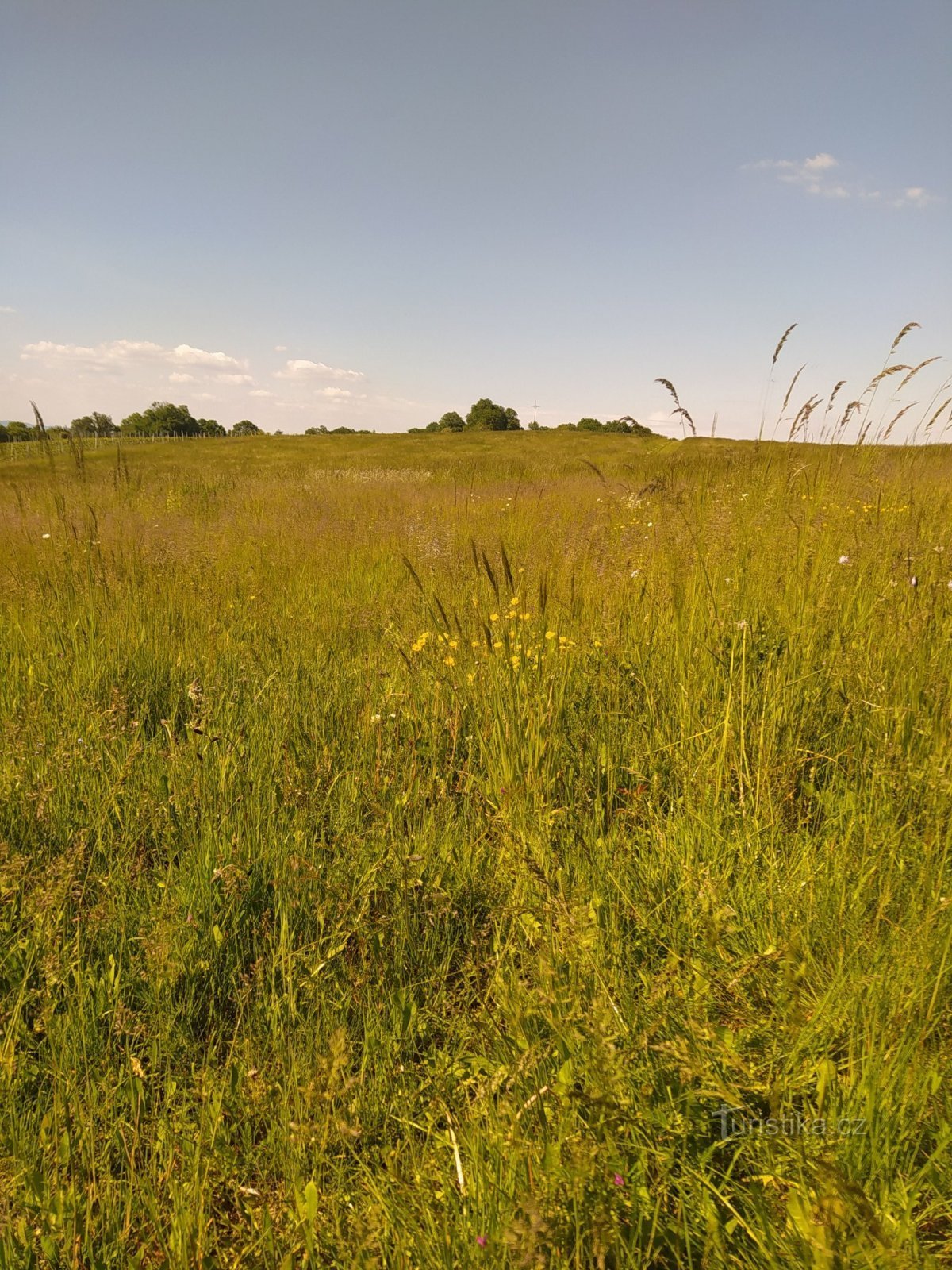 Die Schönheiten von Žerotín im Sommer