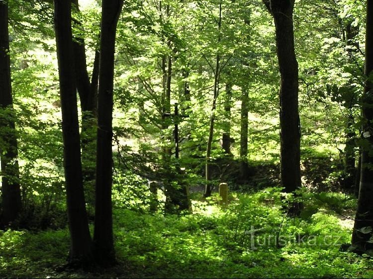 Korte afst. - uitzicht vanuit de richting van de Krátká-piek: Krátká start - uitzicht vanuit de richting