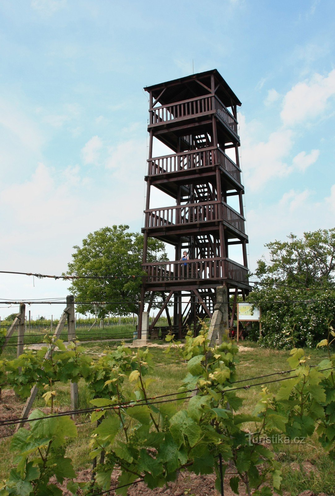 Razgledni stolp Kraví hora - 15 m, 57 stopnic, 272 m n.v.