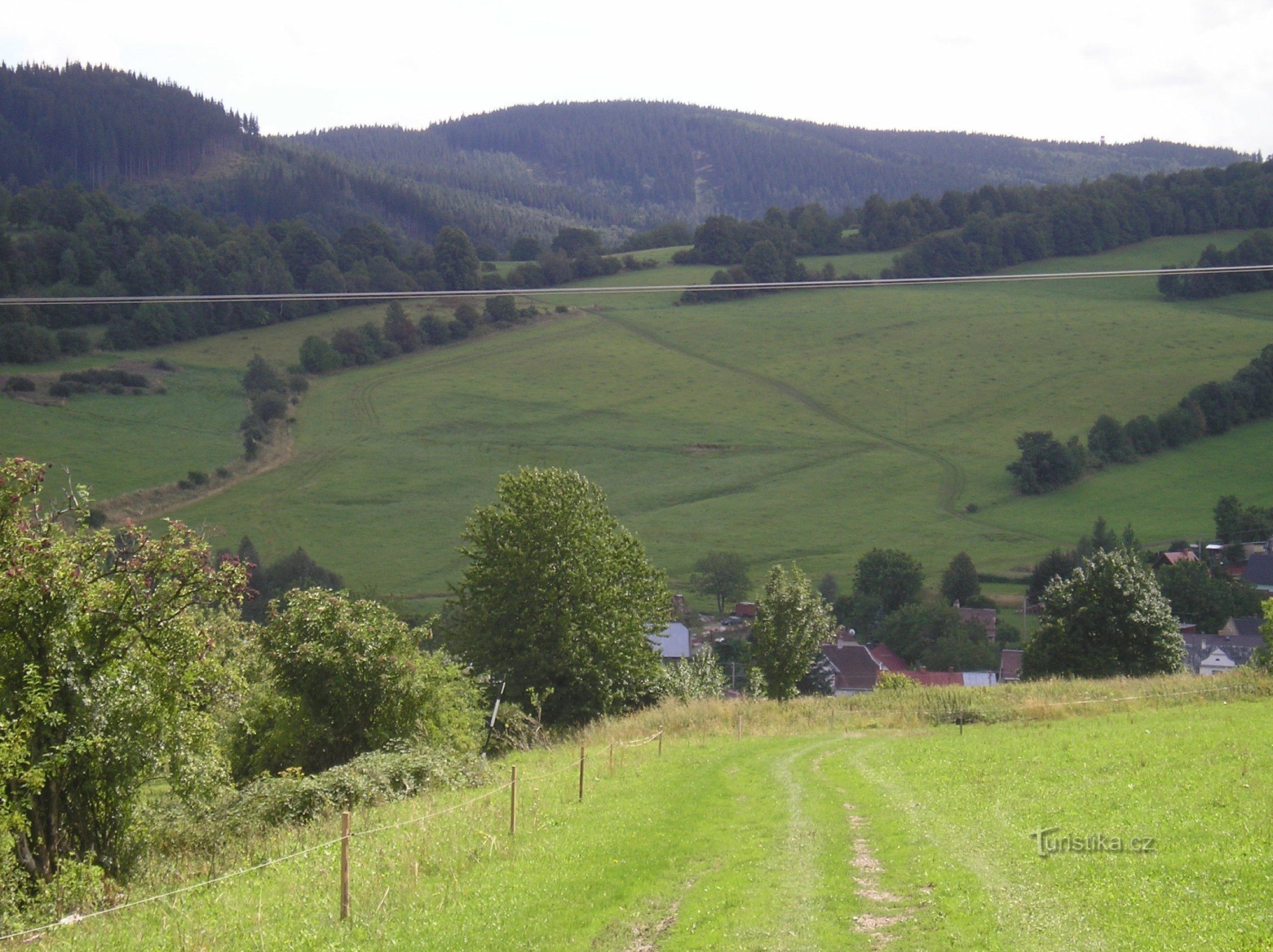 Montaña de vacas de Génova, verano