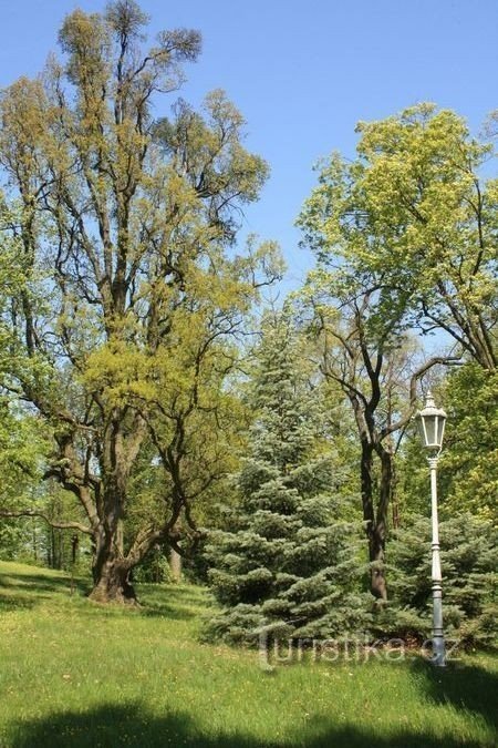 Kravsko - zámecký park