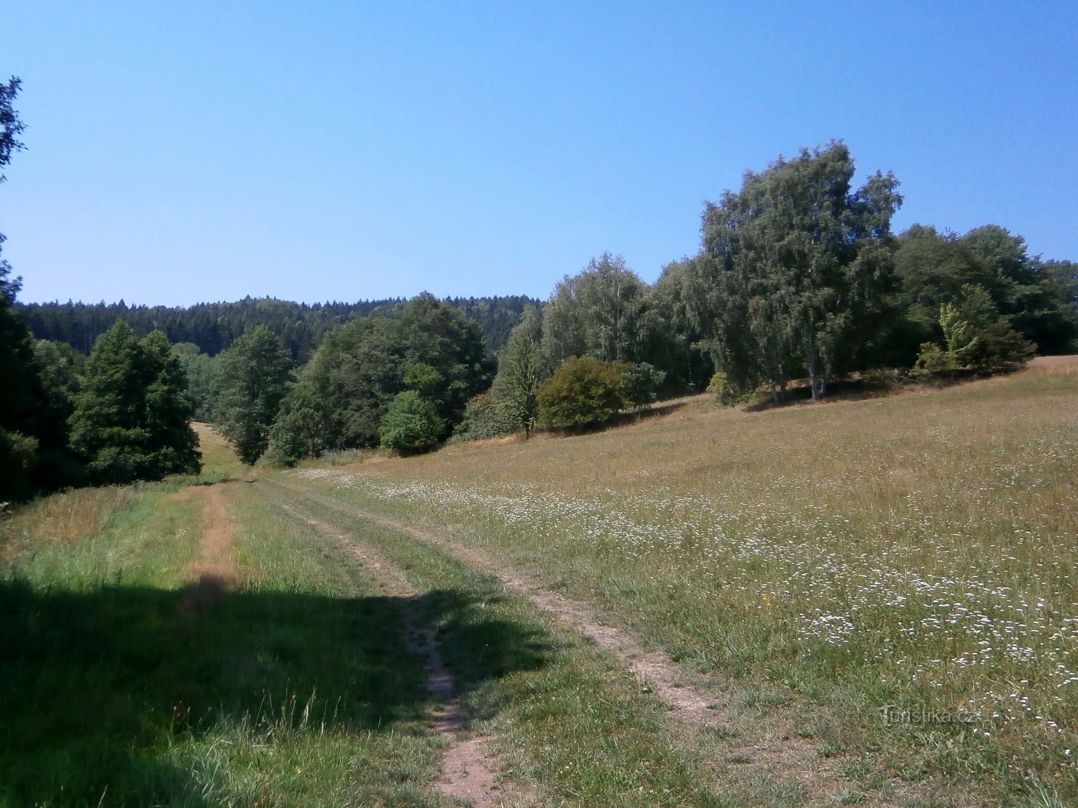 Krblice (Libňatov, 3.8.2015 augusti XNUMX)