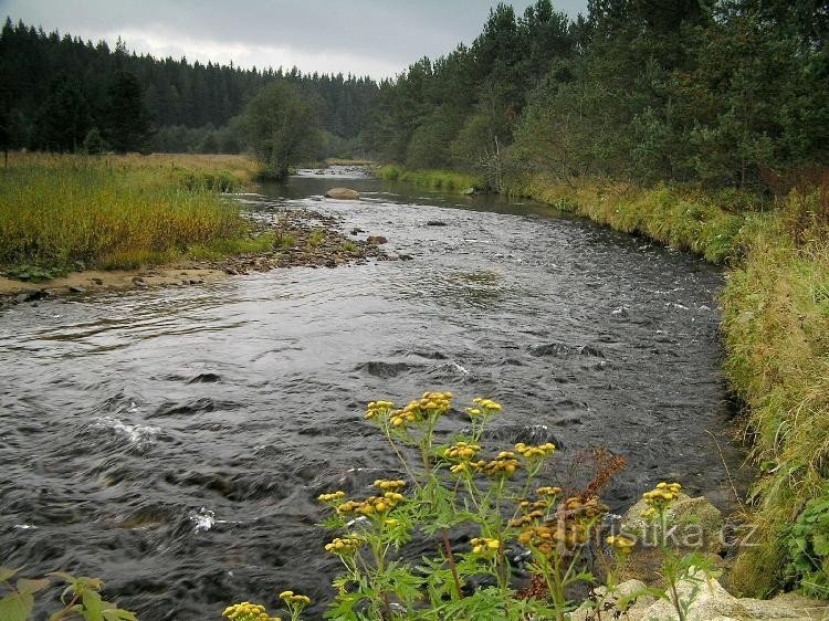 Dremelna lähellä Frauenthalia