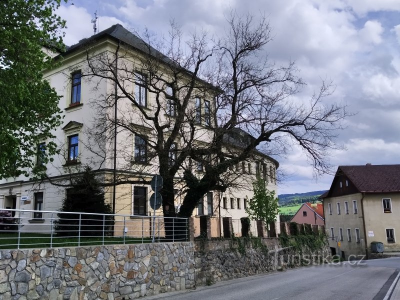 Le mûrier Křemžský se penche sur la route de la mairie en raison du manque d'espace