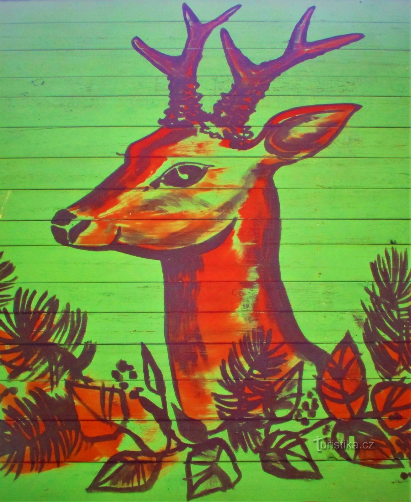 Drawing of a deer on what. 11 (Havlovice, 24.8.2021/XNUMX/XNUMX)