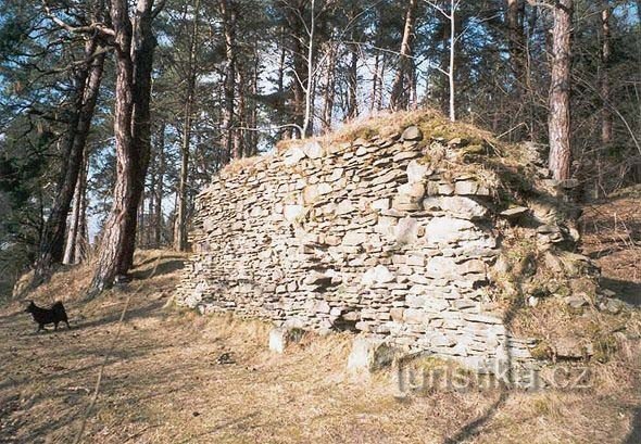 Křikava (hrad)